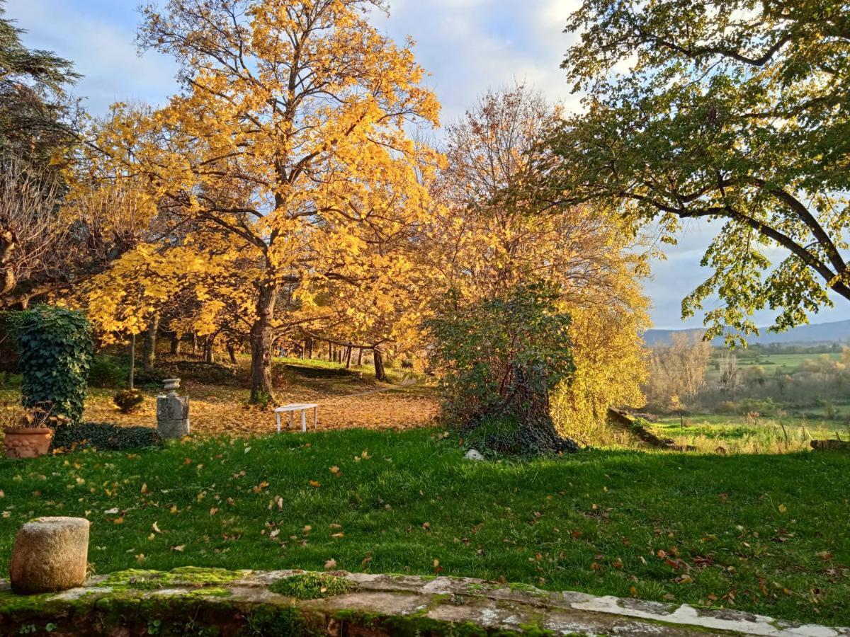 Maison Calme Avec Piscine Entouree De Son Parc Quintenas Luaran gambar